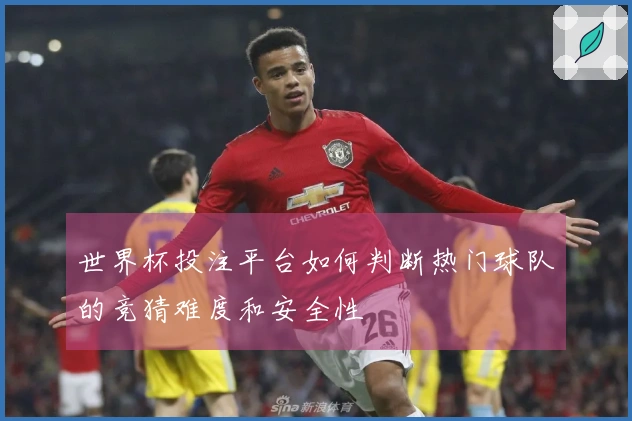 世界杯投注平台如何判断热门球队的竞猜难度和安全性