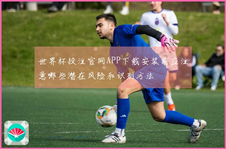 世界杯投注官网APP下载安装前应注意哪些潜在风险和识别方法