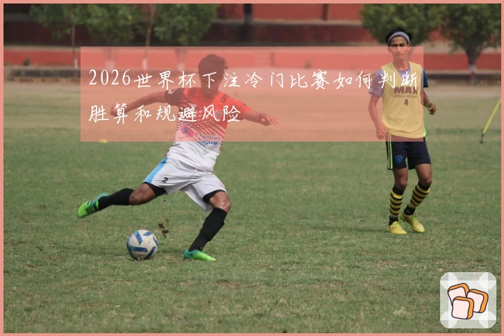 2026世界杯下注冷门比赛如何判断胜算和规避风险