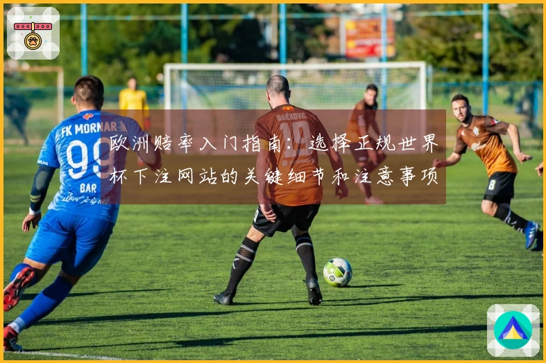 欧洲赔率入门指南：选择正规世界杯下注网站的关键细节和注意事项