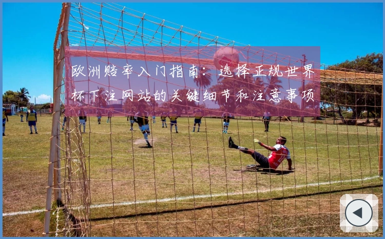 欧洲赔率入门指南：选择正规世界杯下注网站的关键细节和注意事项